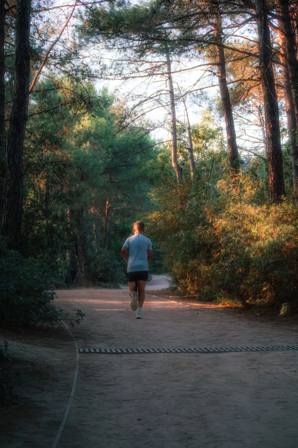 A runner following a sunlit trail through the trees.
