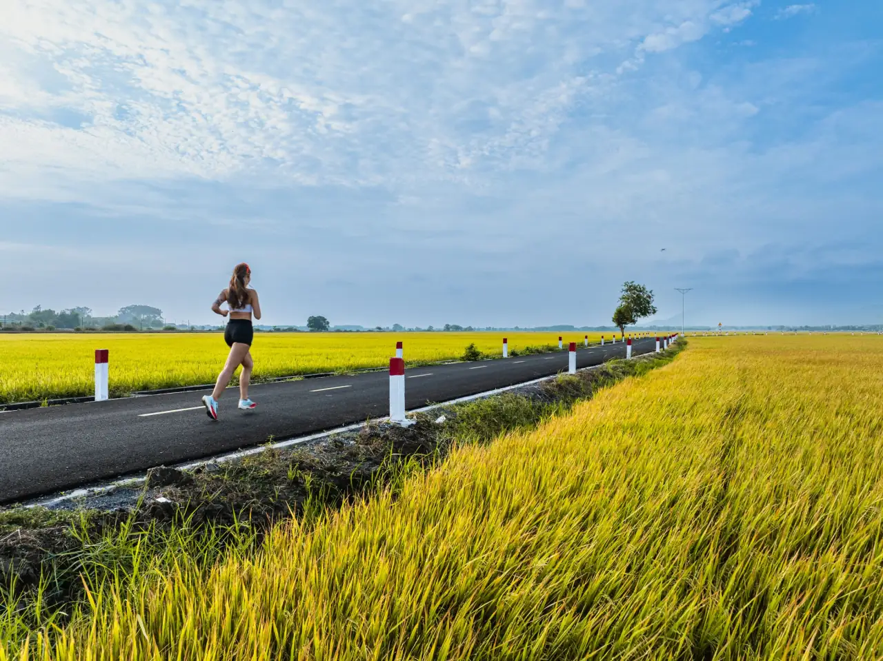 A runner on a narrow road through green fields under a wide blue sky.